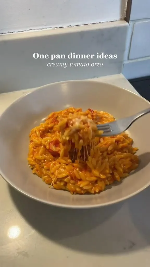 Ein grauer Teller mit cremiger Orzo-Pasta in einer Tomatensoße, aus der eine Gabel einen Bissen mit Käsefäden hebt.